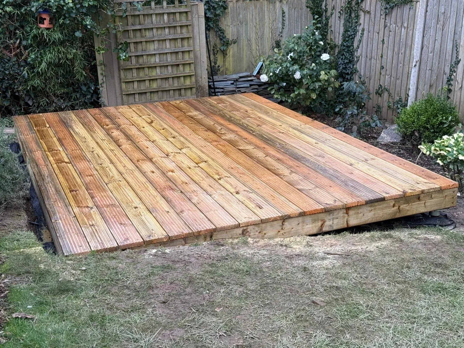 Finished timber decking platform built by Base and Build in Cornwall